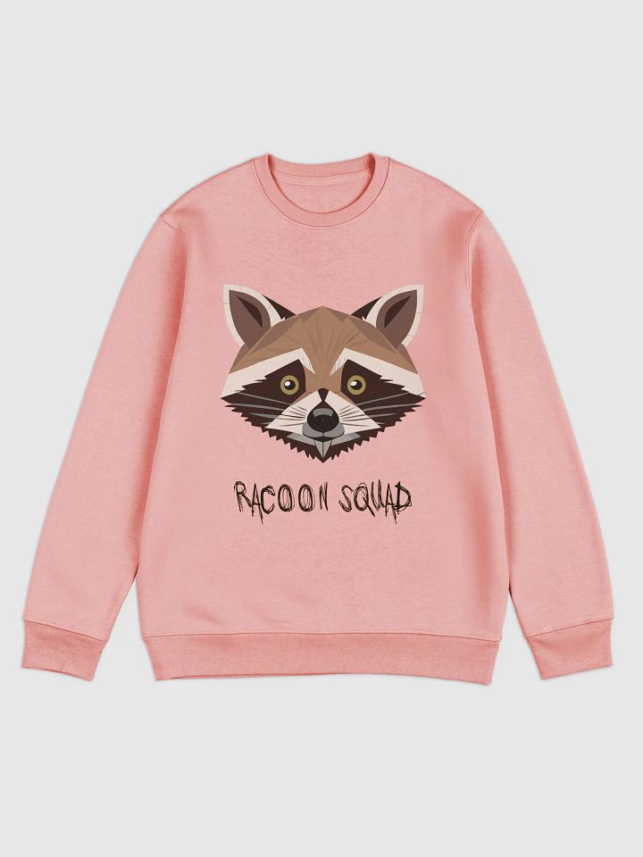 Raccoon Squad - The Sweater product image (1)