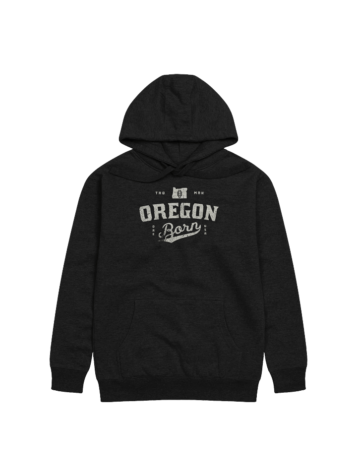 Oregon Born Vintage Collegiate Hoodie product image (1)