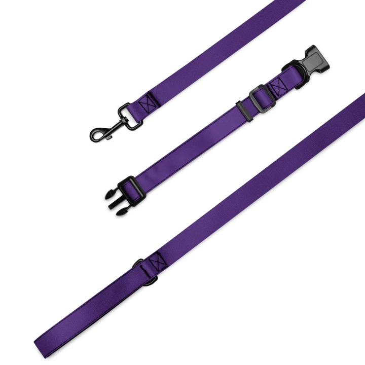 purple misfit dog leash product image (1)