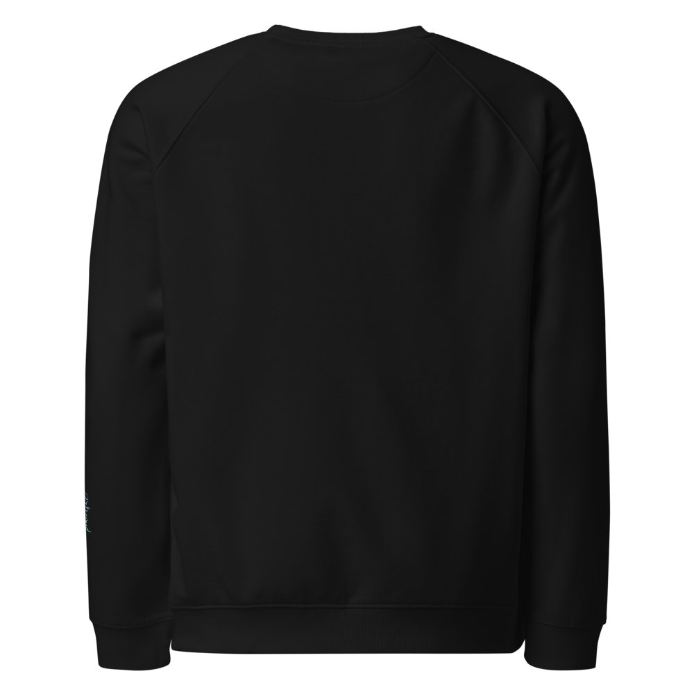 Aleah Black Sweatshirt product image (2)