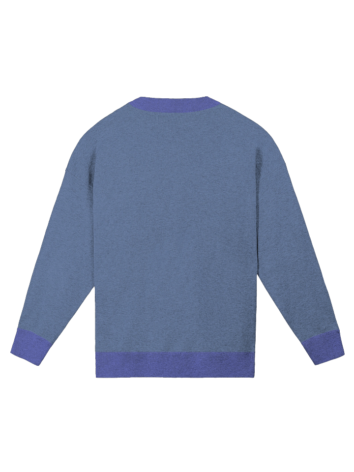 Blue-Footed Booby Relaxed Jacquard Sweater – Knit Pullover with Birdwatcher Design product image (6)