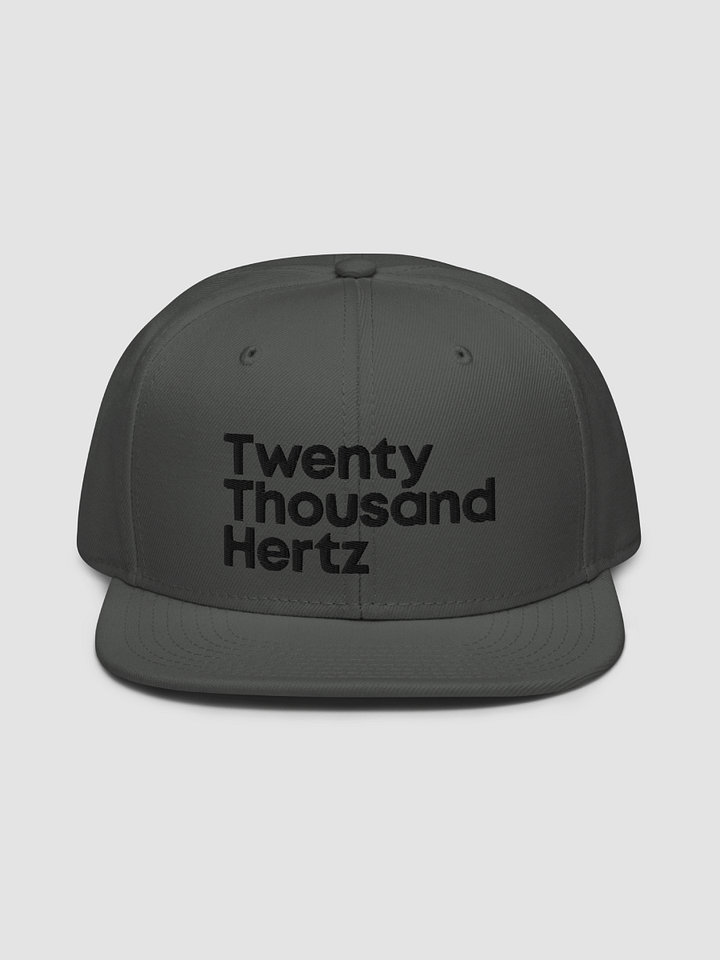 20K Flat Brim Cap product image (2)