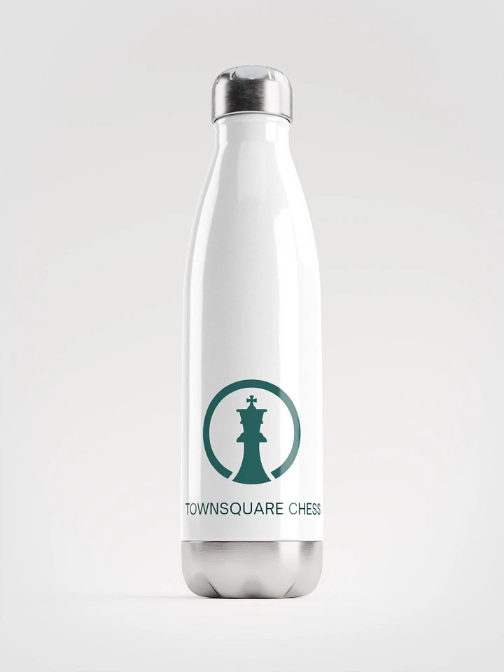Stainless Steel TownSquare Water Bottle product image (1)