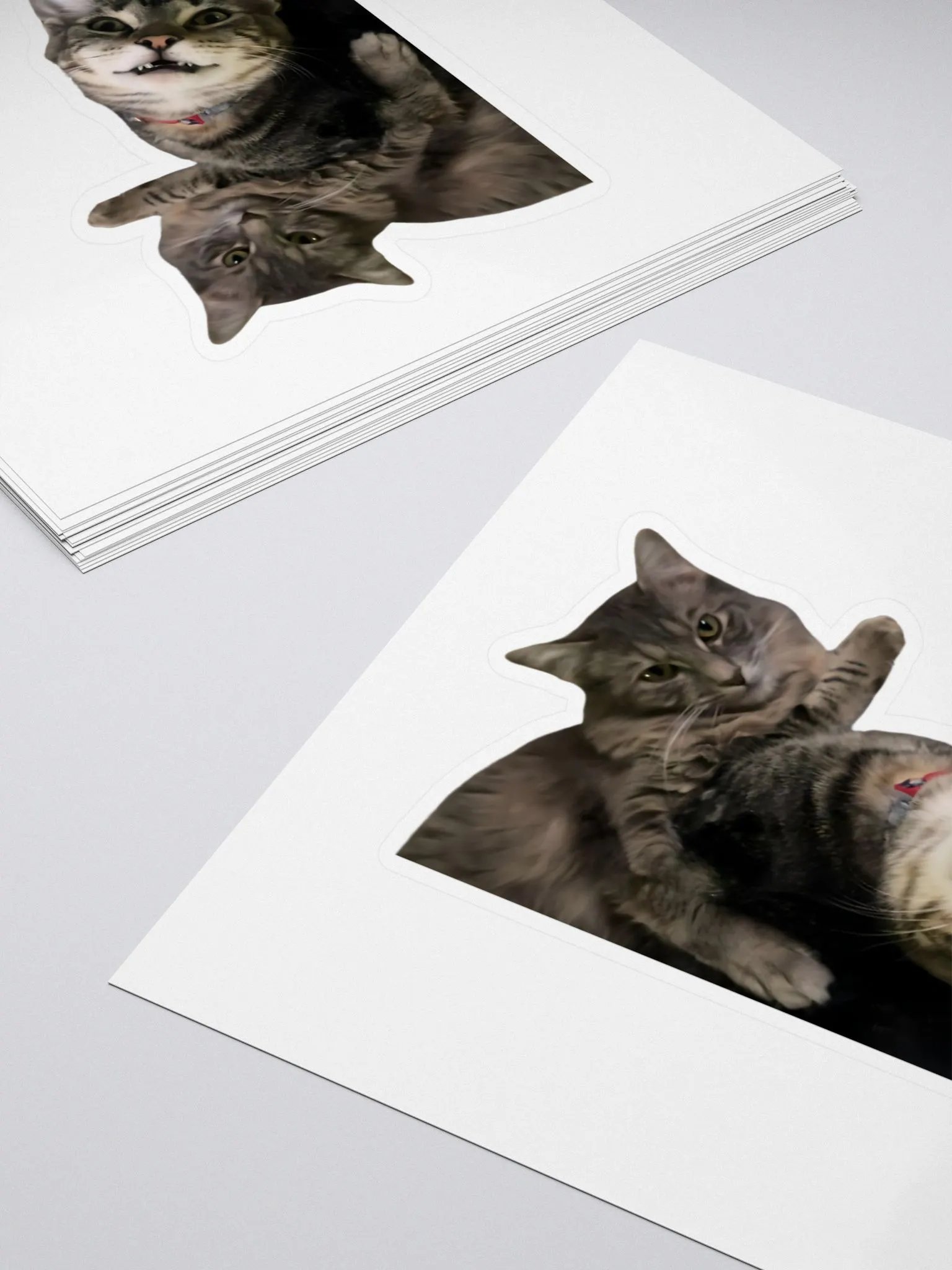 xDarknTwistyx Sticker ft. Meredith & Rocky product image (4)