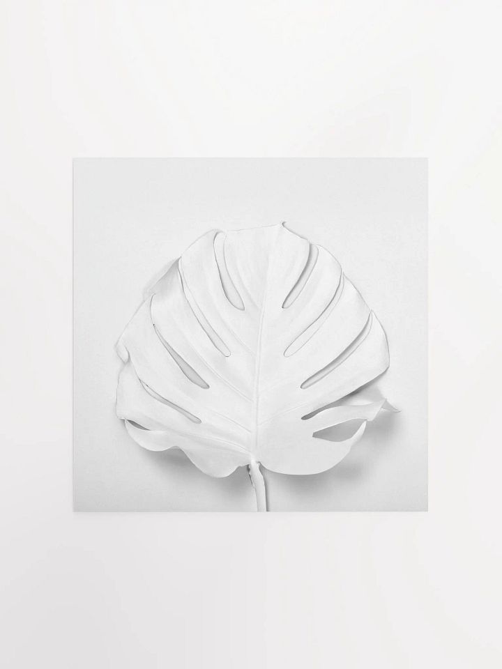 Monochrome White Monstera Leaf Art Print product image (1)