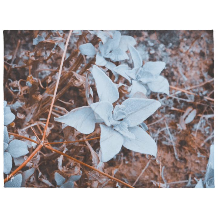 Soft Green Desert Flower Throw Blanket product image (2)