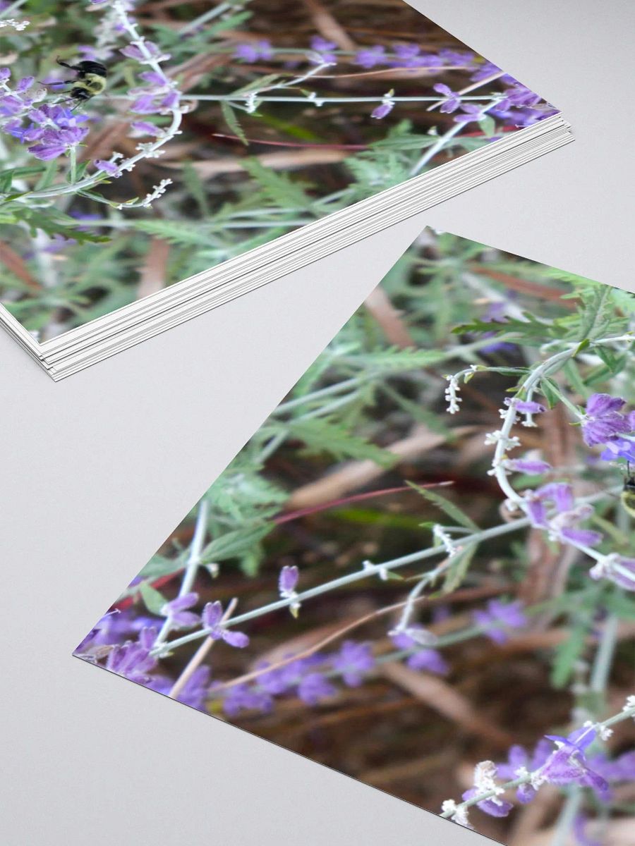 A Study in Flowers 12 - sticker version product image (16)