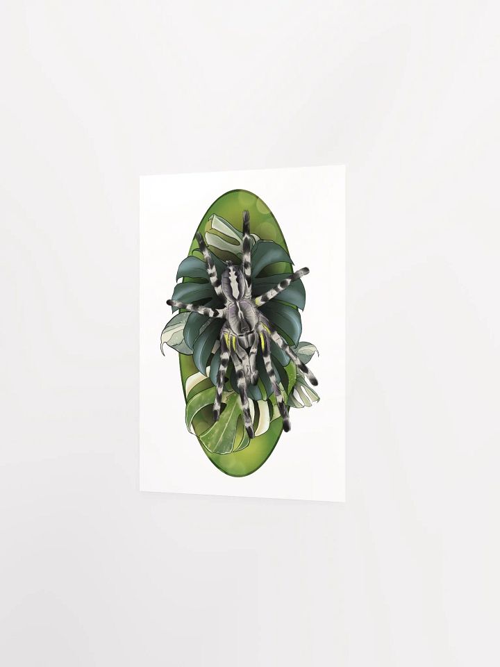 Poecilotheria Regalis and Monstera product image (6)