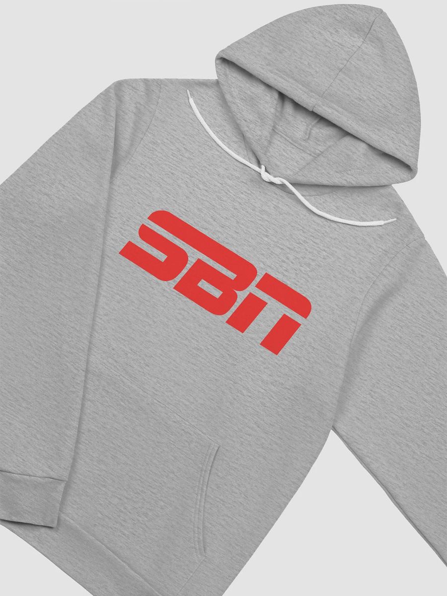 SBN Bella+Canvas Super soft Hoodie Gray product image (3)