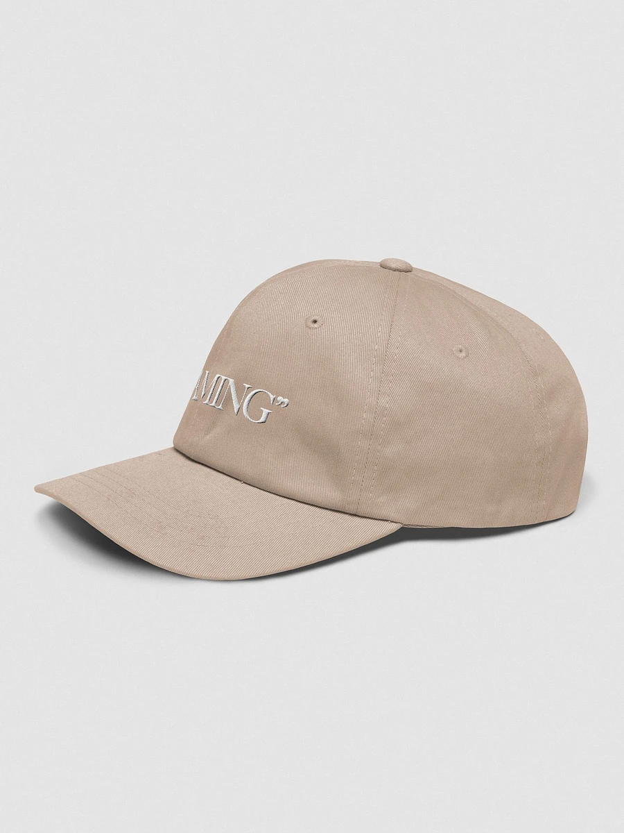 A Hat That Says 