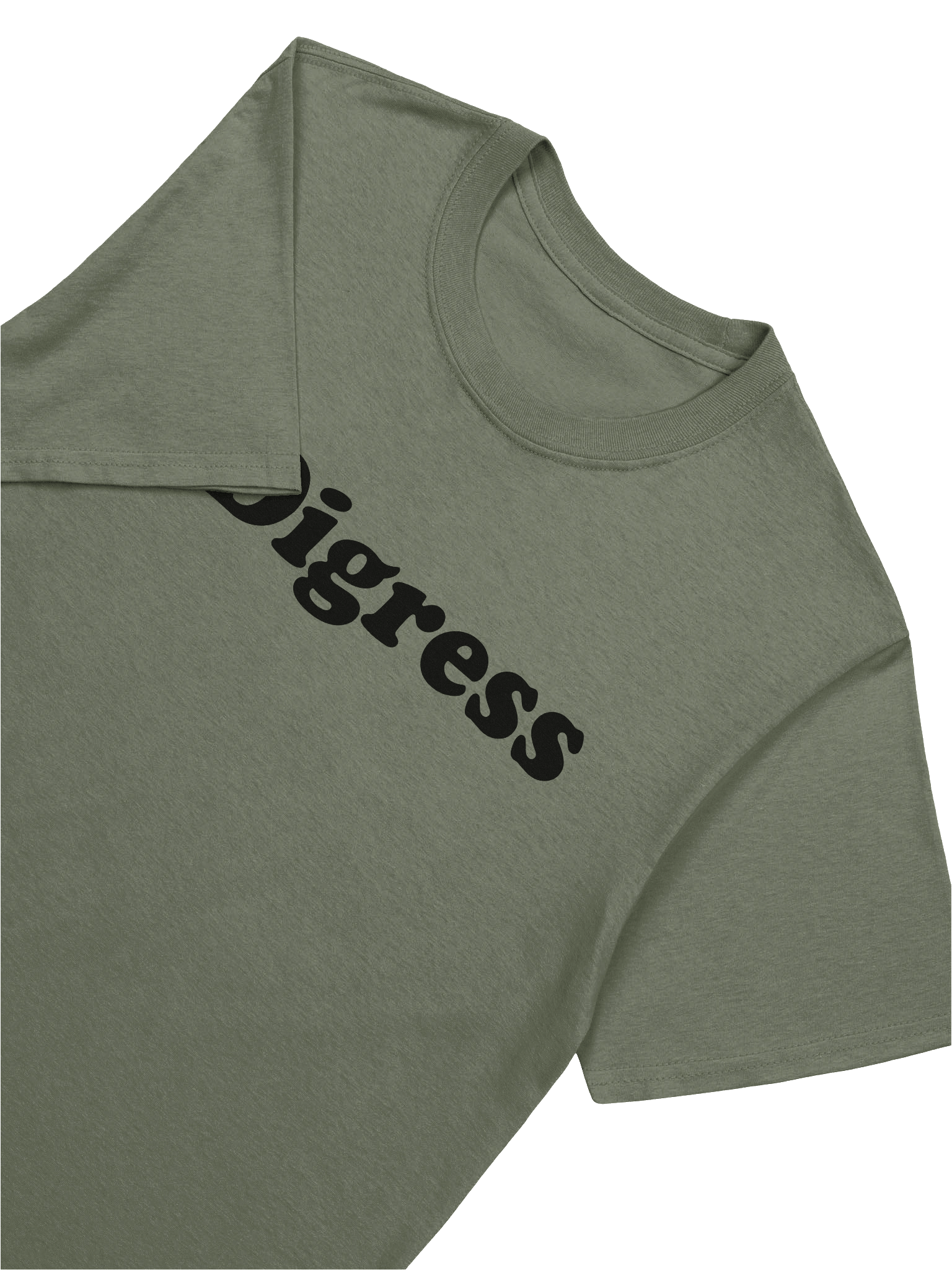 I Digress product image (105)