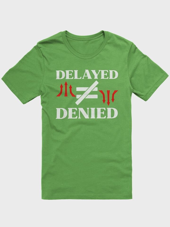 Delayed Not Denied Bella Canvas T-shirt product image (2)