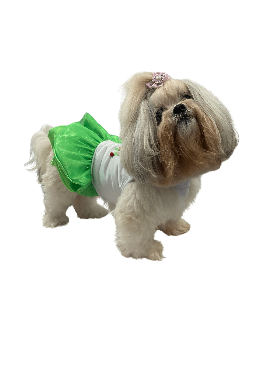 Vestido Encanto de Natal - Modelagem Pet PDF product image (5)