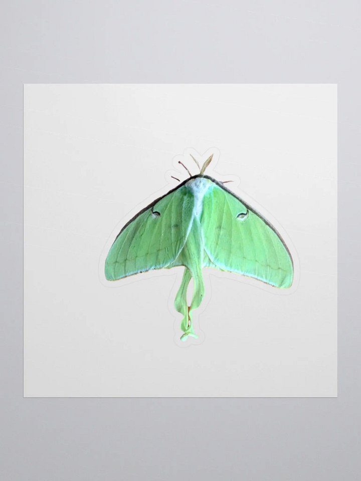 Luna Moth Kiss Cut Stickers product image (2)