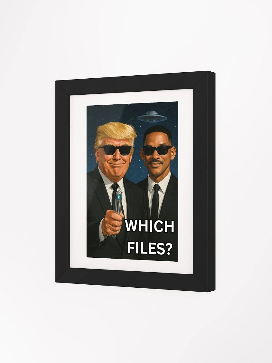 WHICH FILES? product image (17)