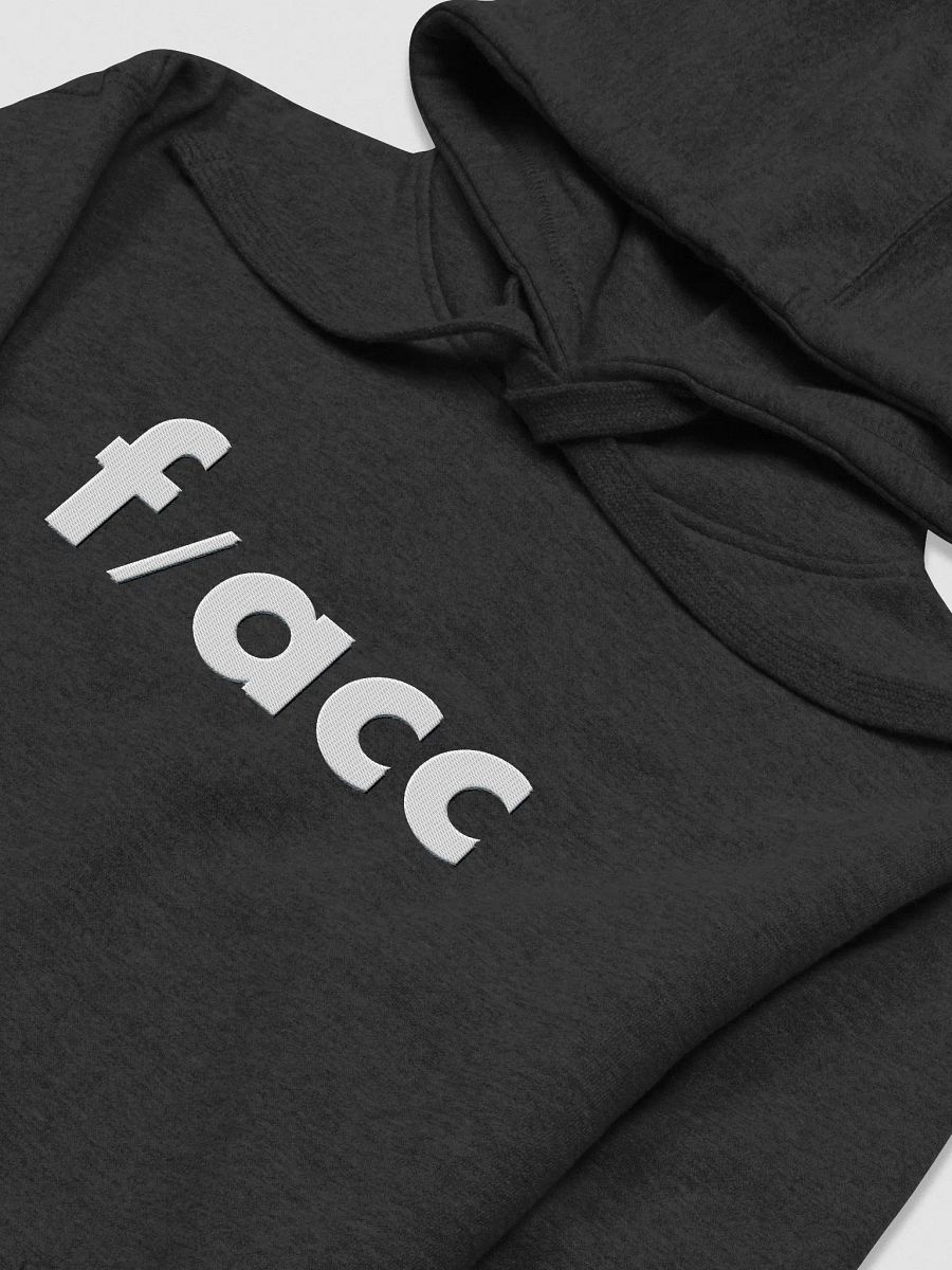 f/acc hoodie (up to 3XL) product image (3)