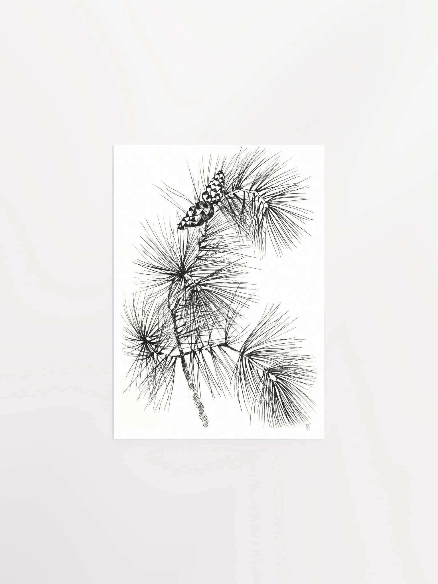Pine Branch Serenity Poster - Pine Branch and Cones product image (3)