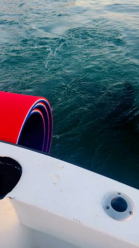 Just Chillin’ in Los Cabos… Until a Sea Lion Started Chasing Our Boat! #loscabos
