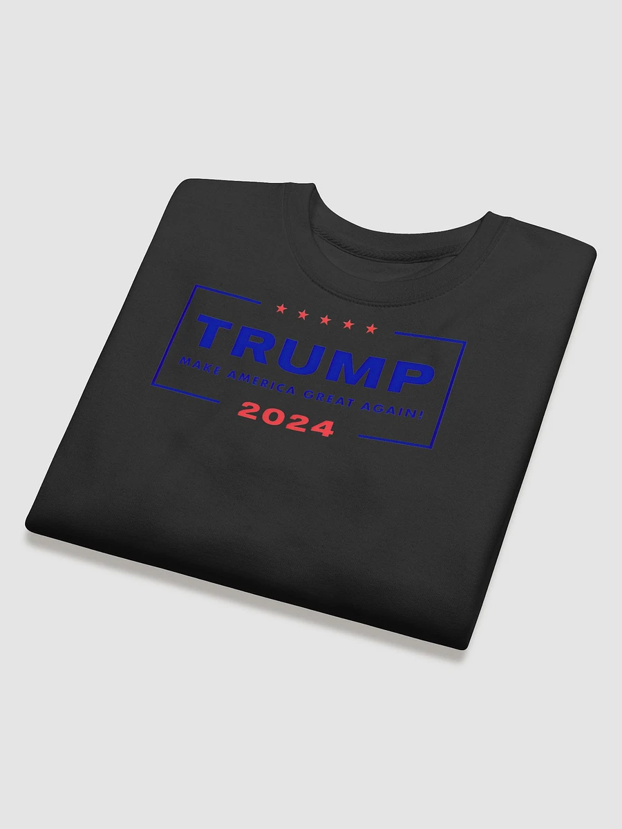 2024 American Campaign Sweatshirt product image (4)