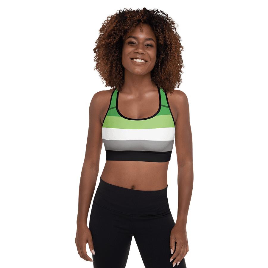 Aromantic Pride Flag Padded Sports Bra product image (1)