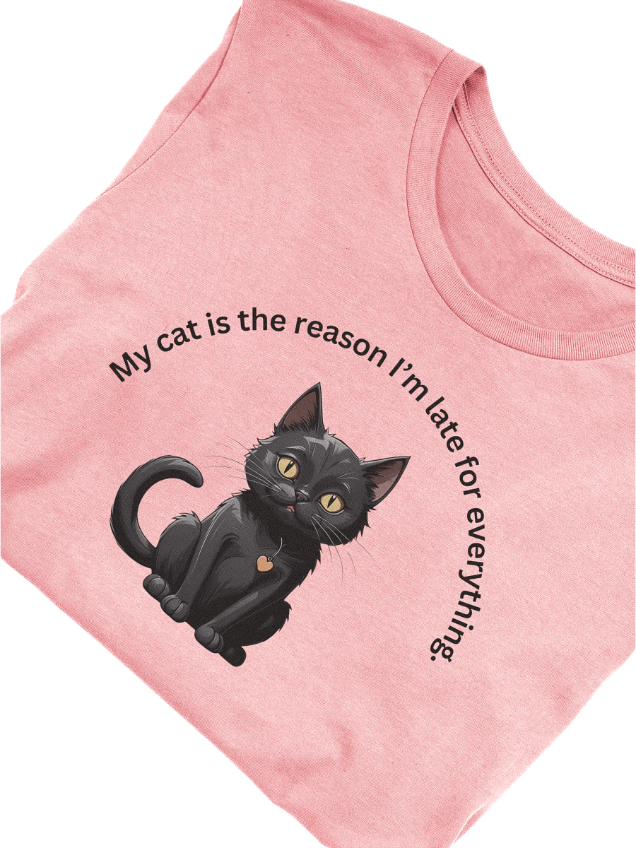 Cat Lady product image (8)