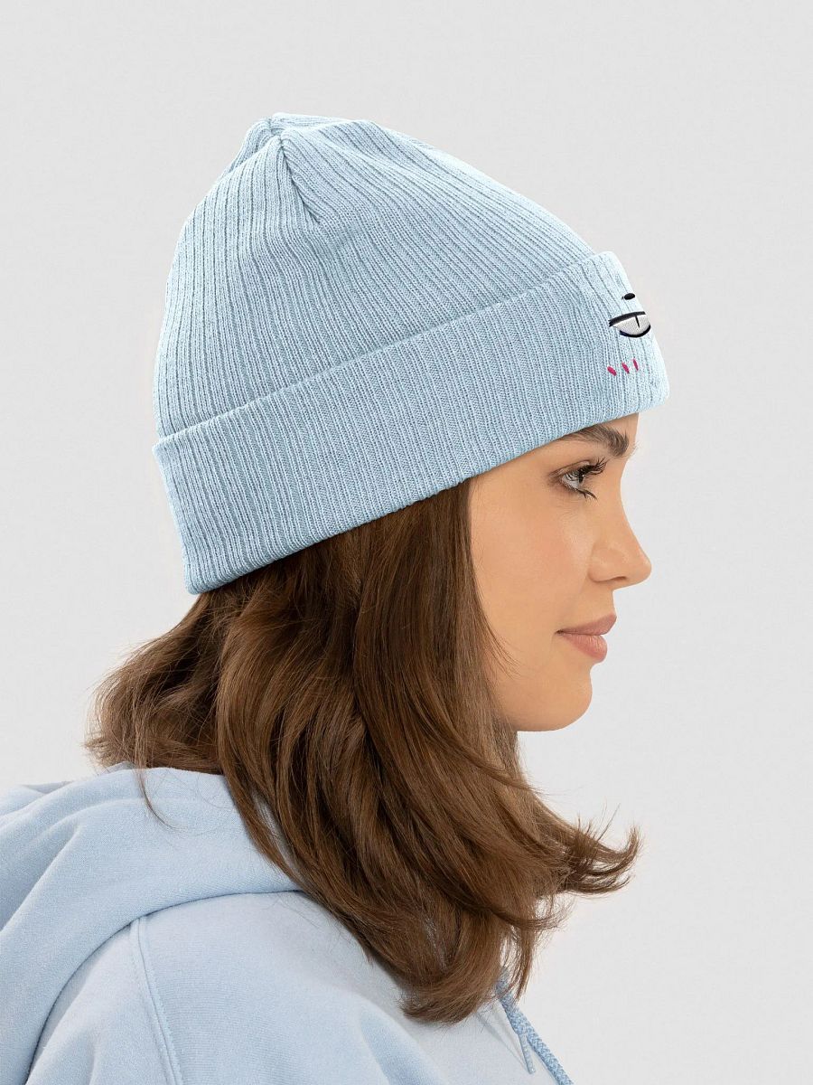 Main Character - Bo Knit Beanie product image (8)
