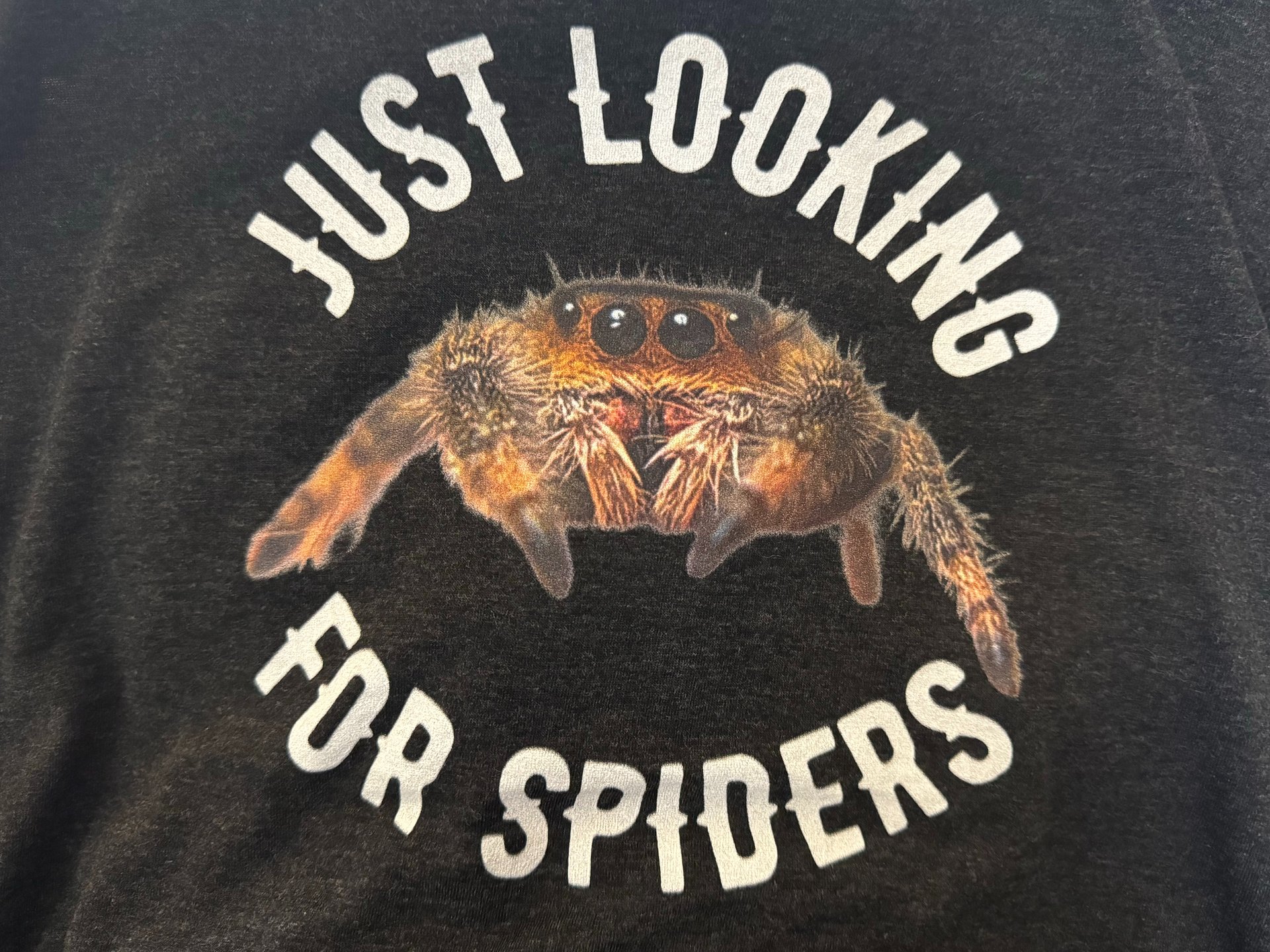 Just looking for spiders tee product image (1)