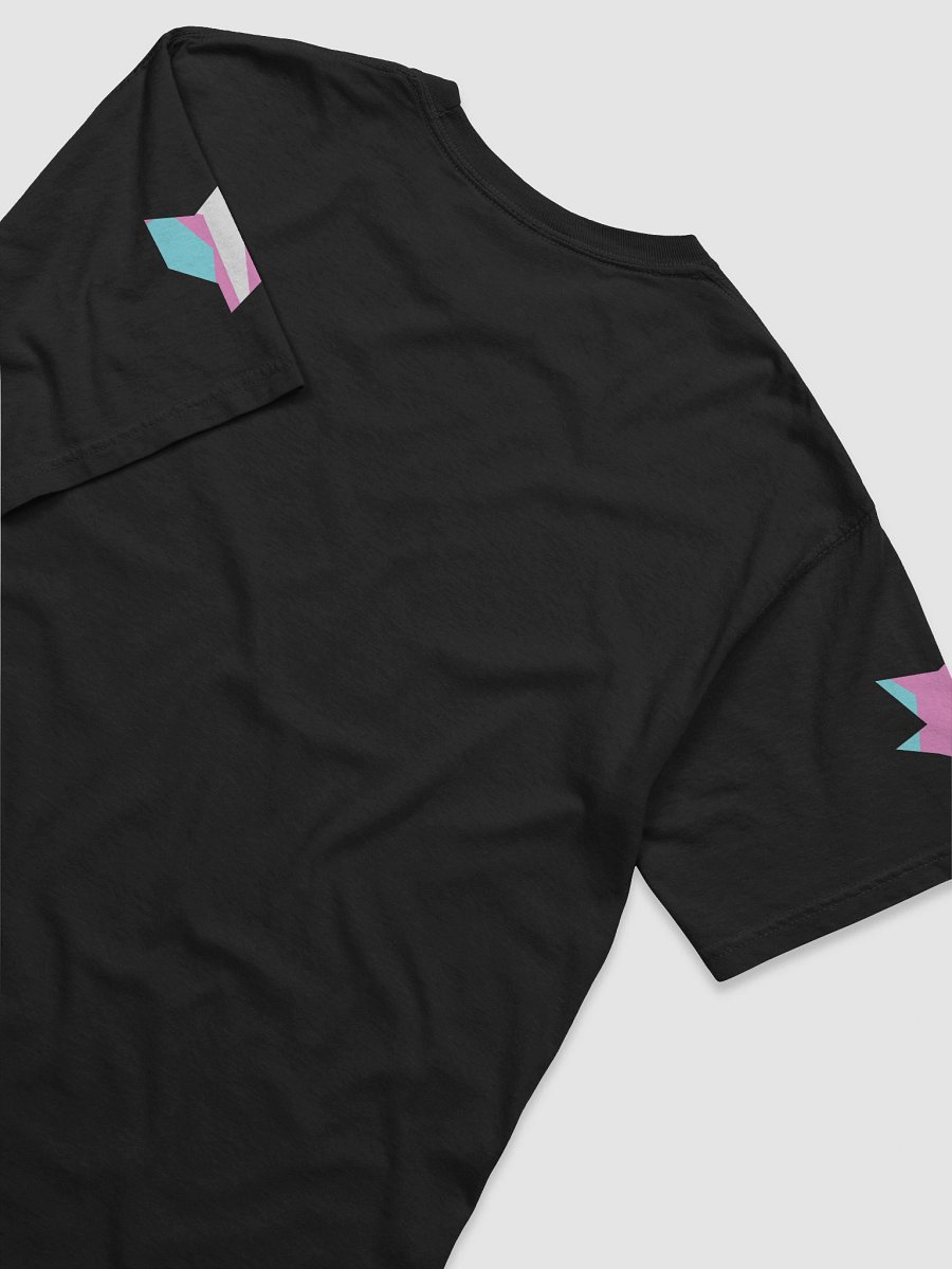 ZERA ONE Pride Month T-Shirt product image (7)