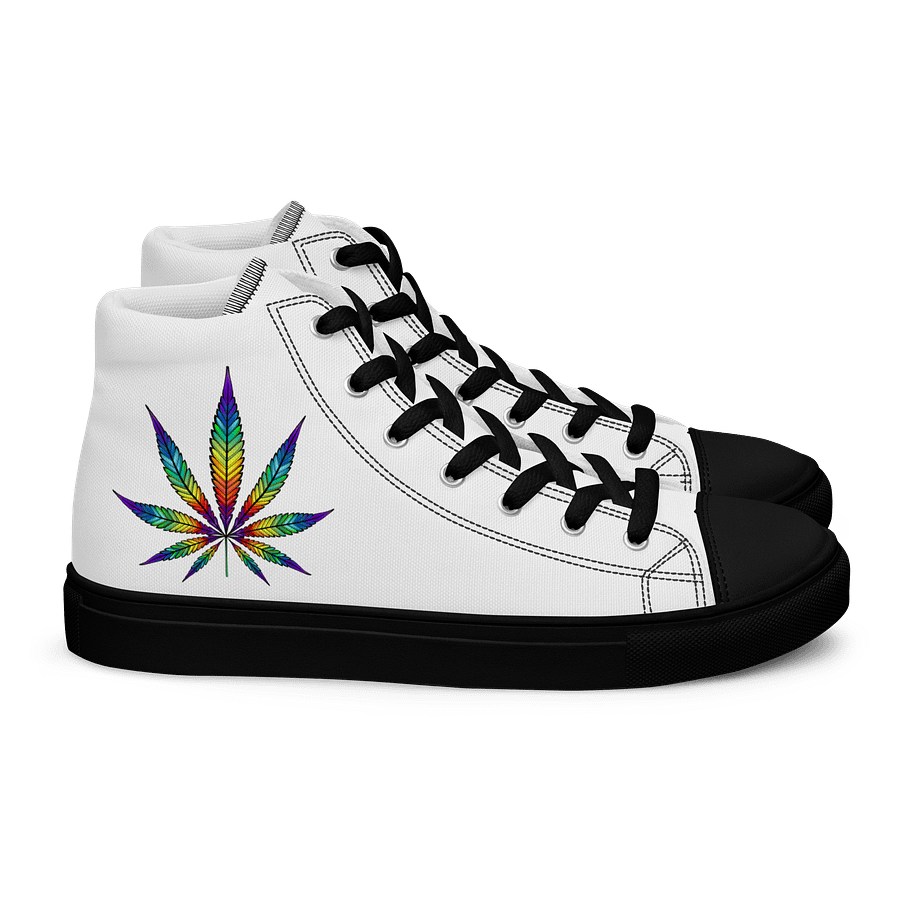 rainbow pot mens shoes product image (2)