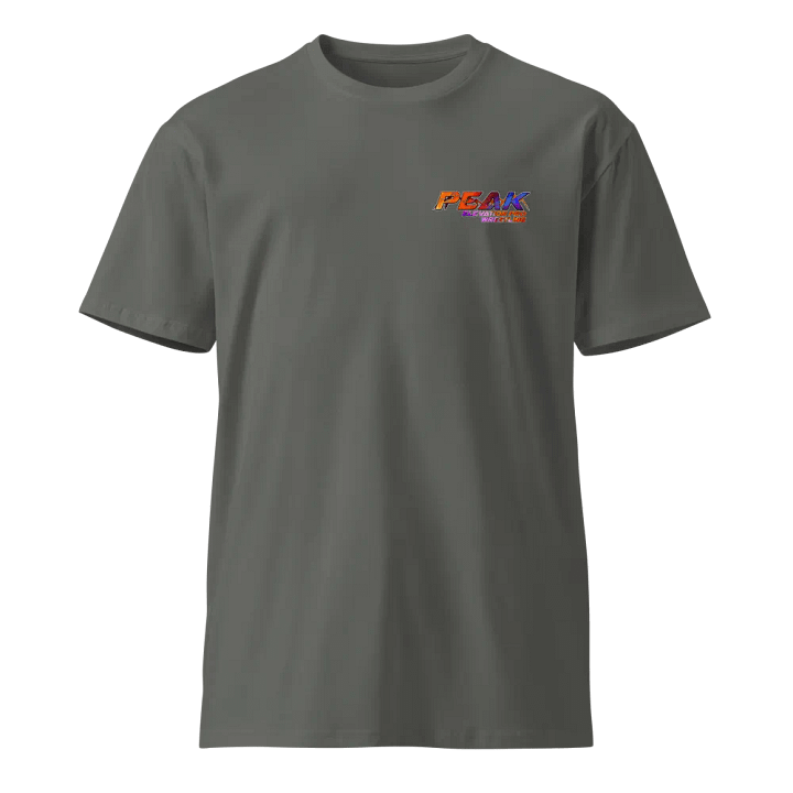 PEPW Choose Your Fighter Corinna x Katlyn Shirt product image (1)