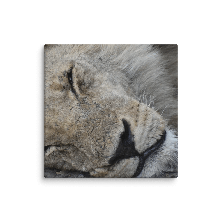 The Lion (Canvas Print) product image (1)