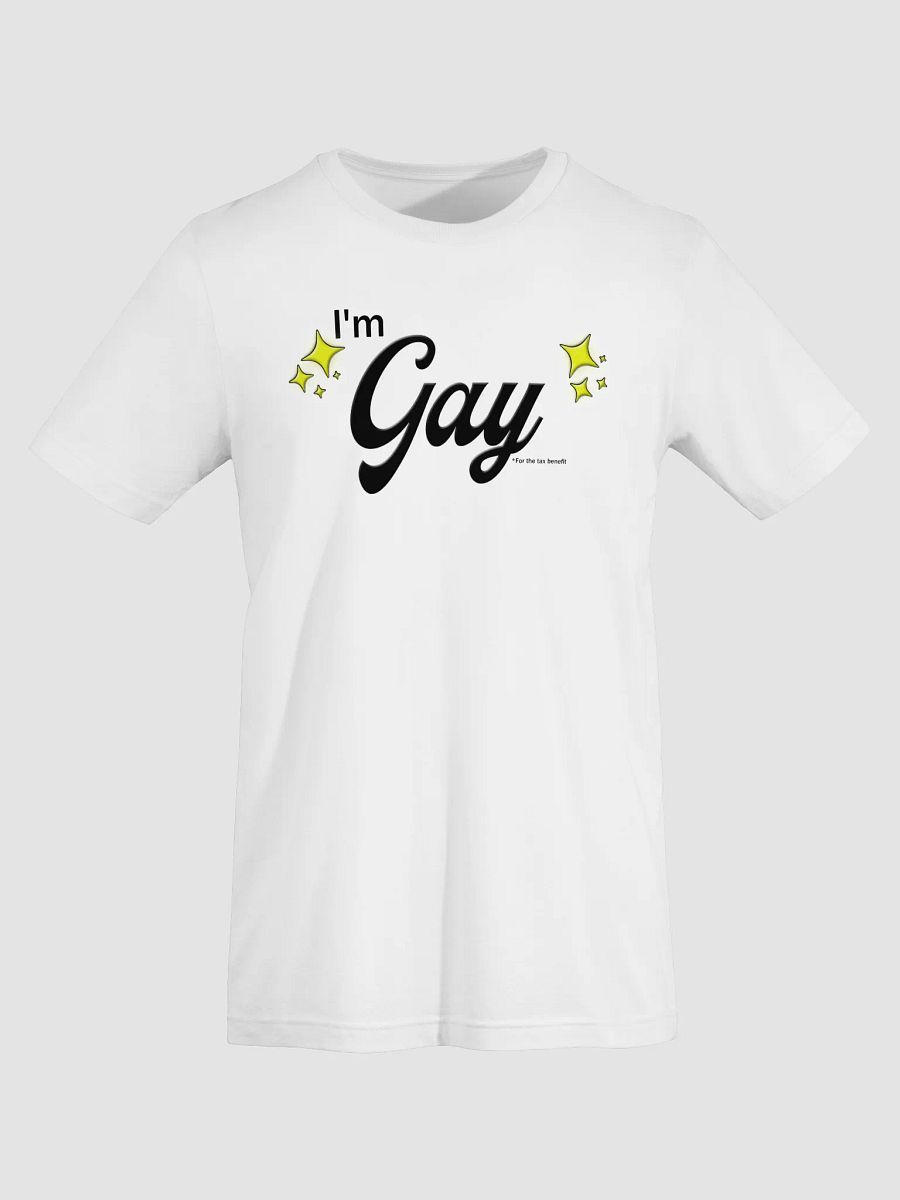 I'm Gay (for the tax benefit) Charity Tee product image (7)