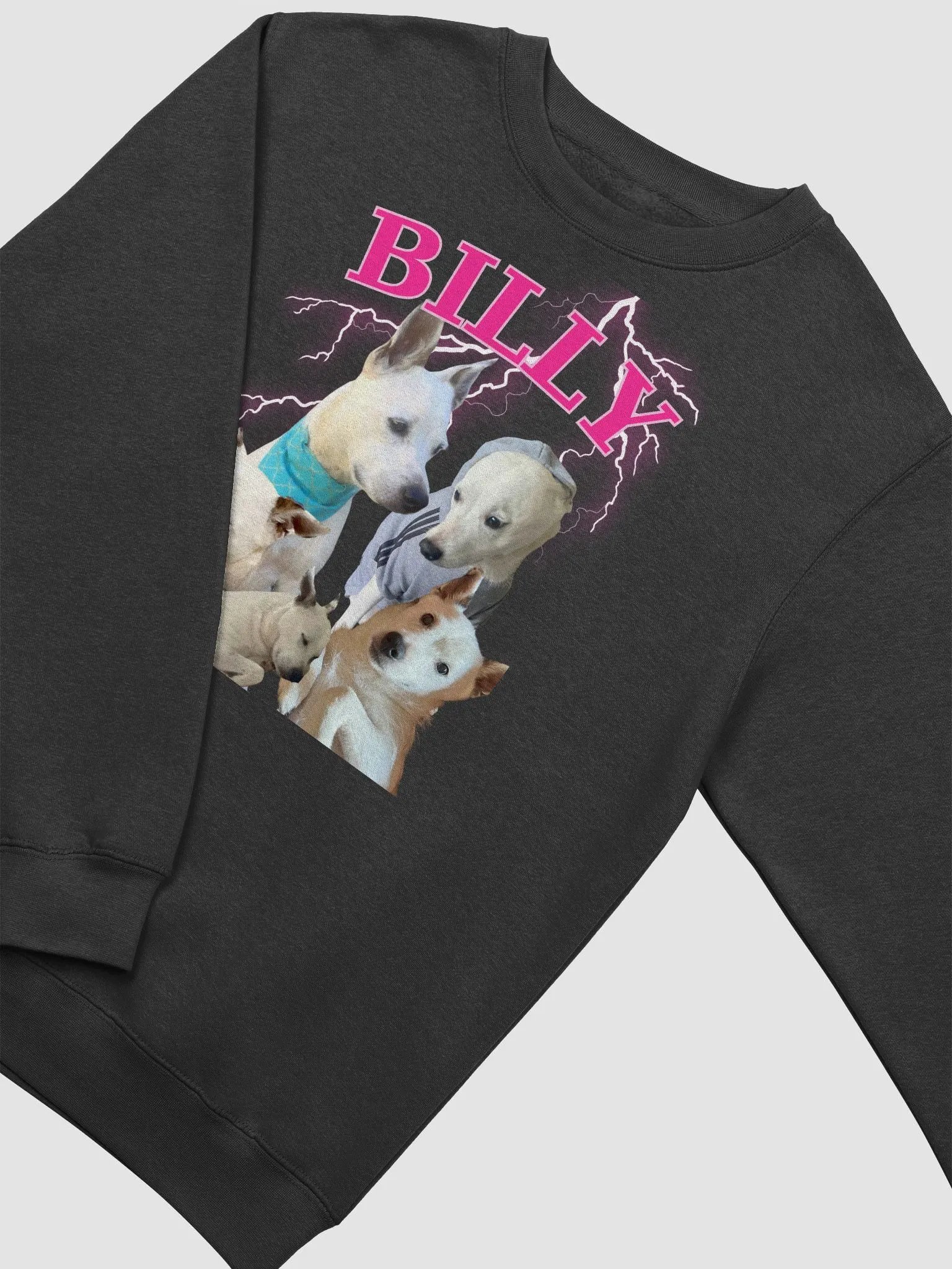 Billy Band Sweatshirt product image (3)