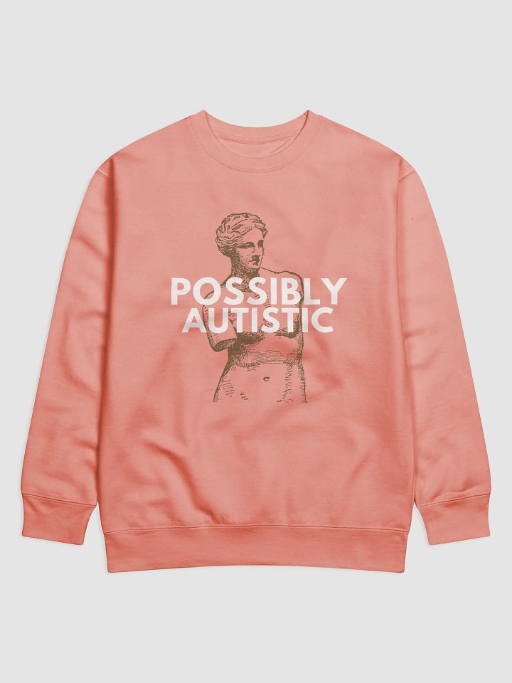 POSSIBLY AUTISTIC - SWEATER product image (1)