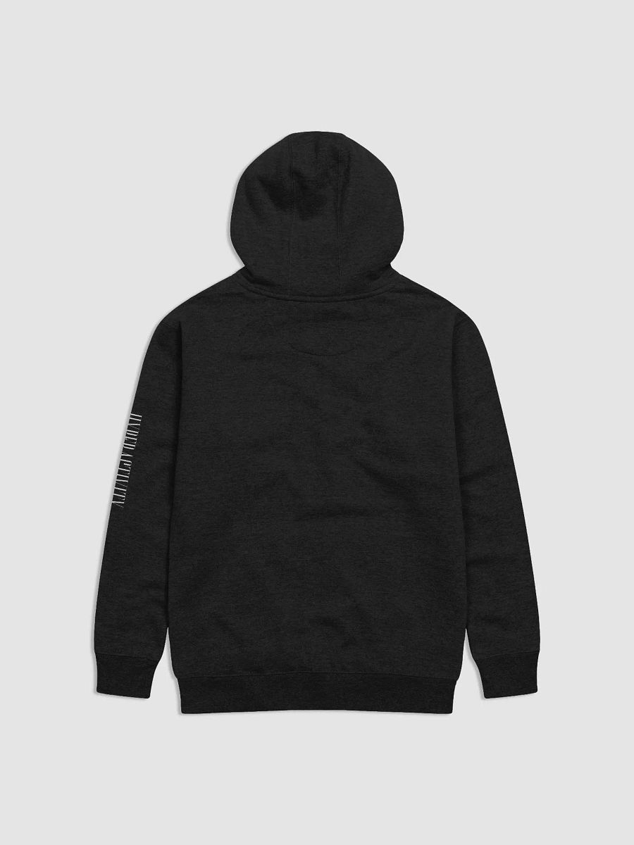 Brand Name Hoodie product image (2)