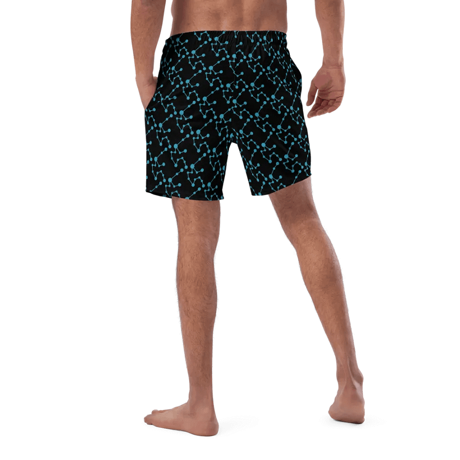 Aquarius Fusion Swim Shorts product image (5)