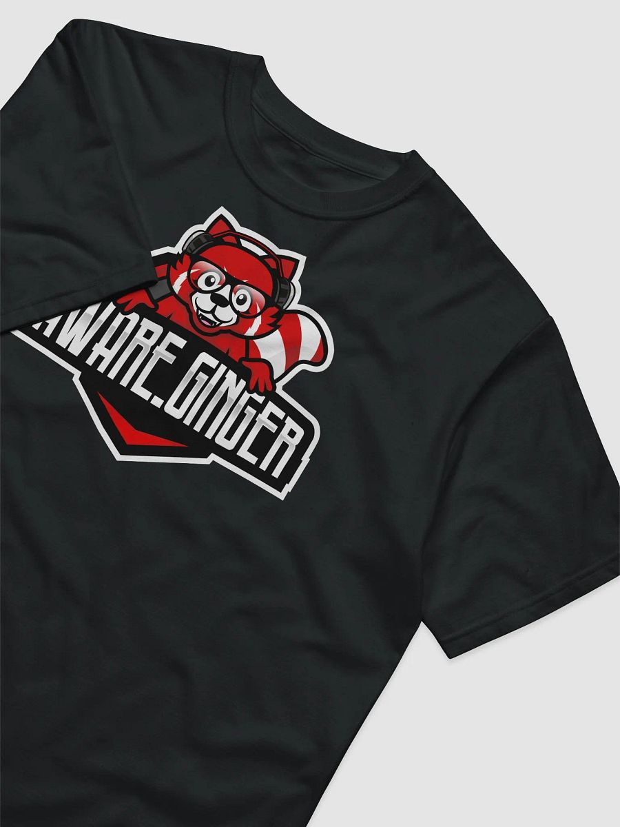 Logo Shirt product image (2)