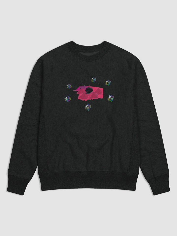 Puzzled Mind x Champion Sweatshirt product image (1)