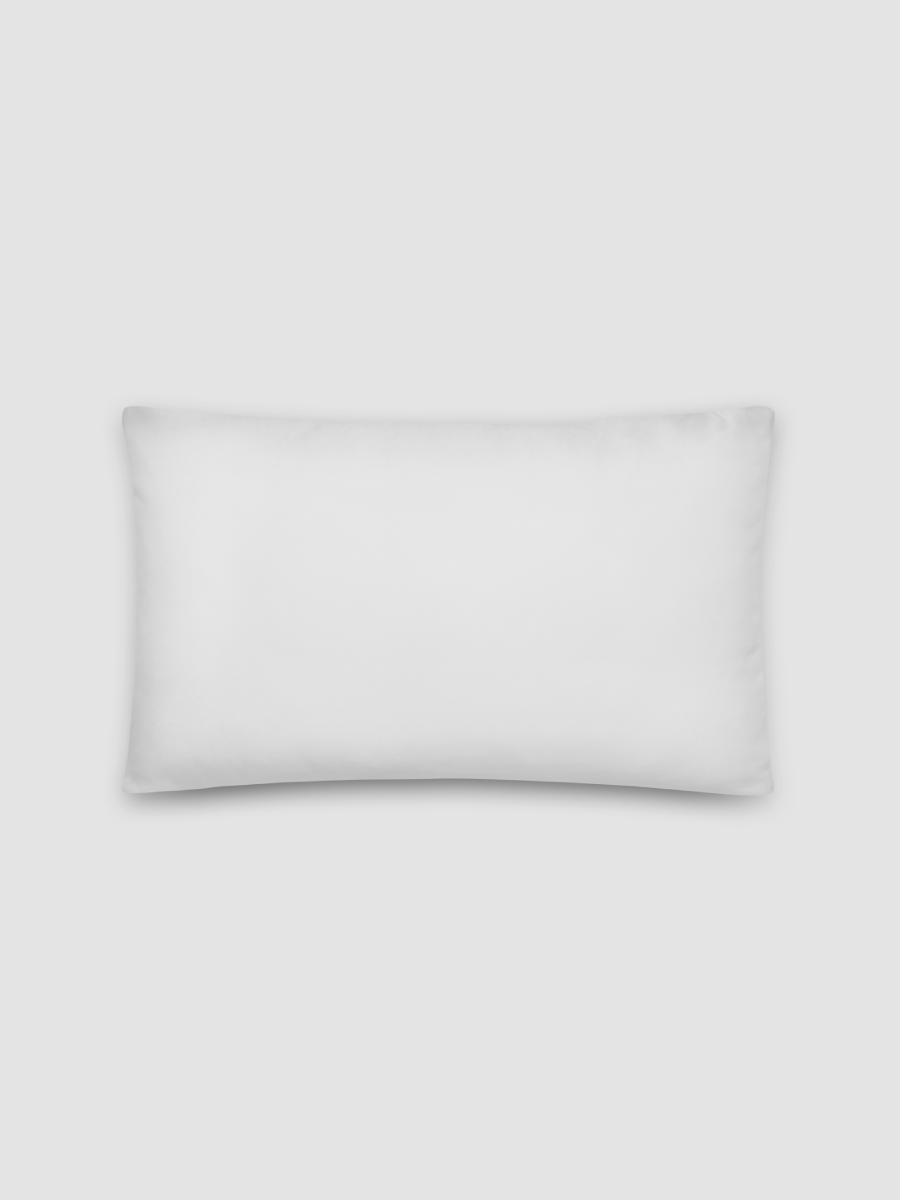 The Coordinates Pillow product image (3)