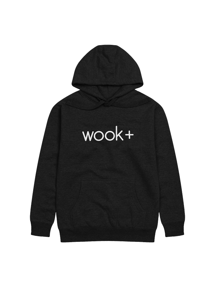 wook+ Classic Hoodie product image (2)