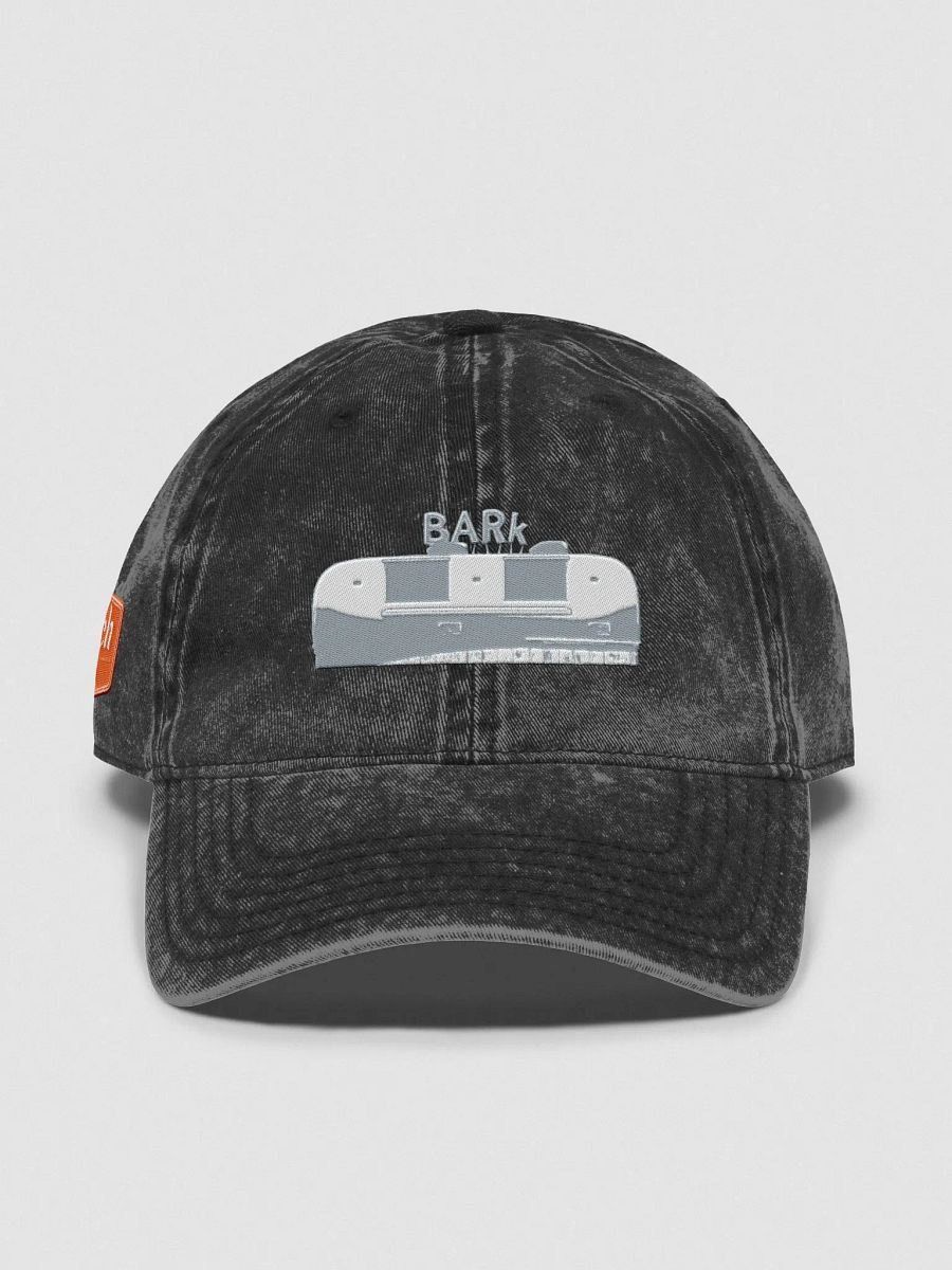 BARk Faded Dad Hat product image (2)