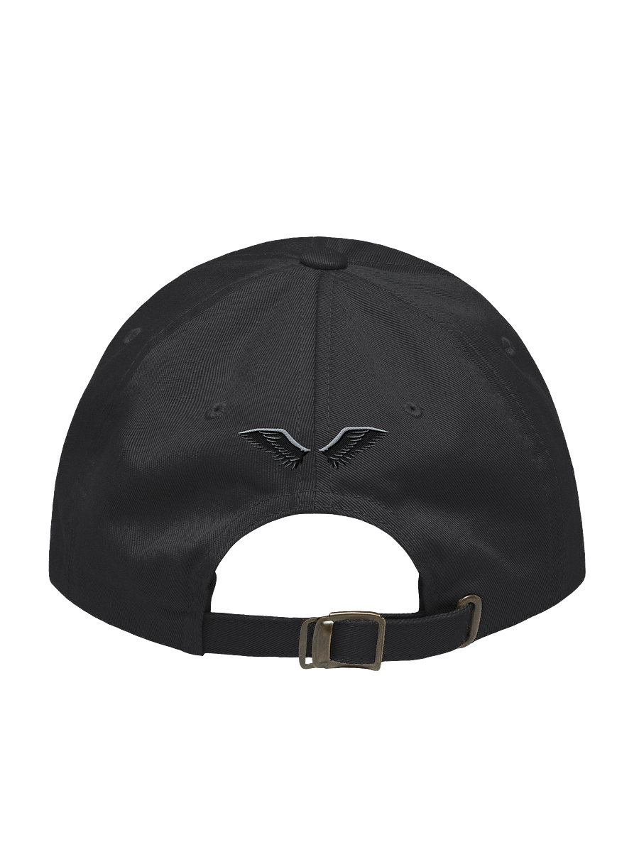The @nathyn.trees INFAMOUS Cap in Black product image (2)