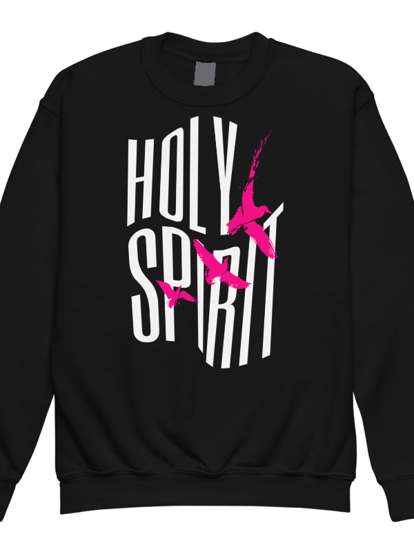 Holy Spirit Flight Youth Sweatshirt product image (1)