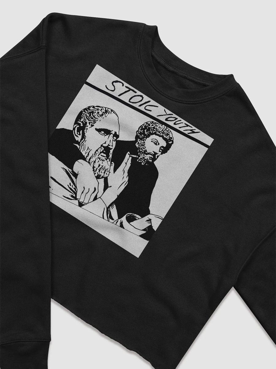 Stoic Youth Bella+Canvas Women's Fleece Crop Sweatshirt product image (3)