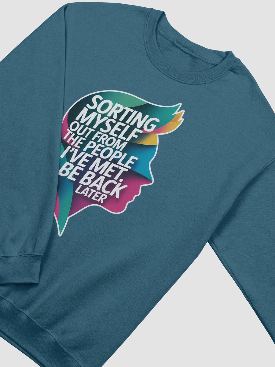 Sorting Myself Out Reflector Sweatshirt product image (3)
