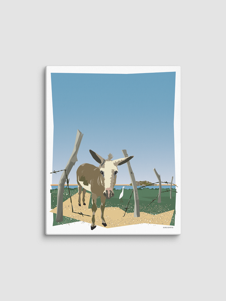 Burro Canvas Print product image (2)