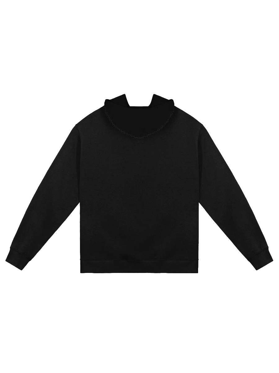 JBZ THRDS (Mountain Hoodie) product image (3)