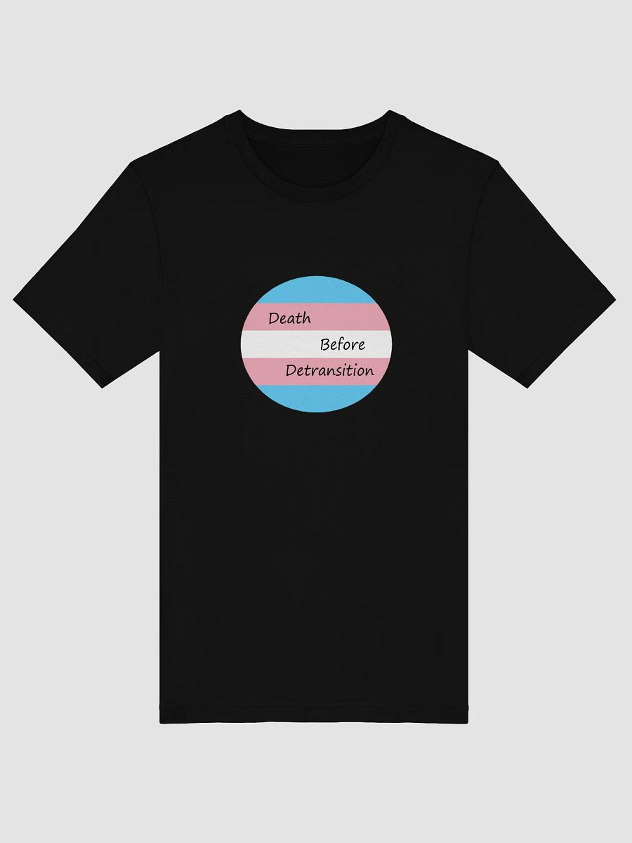Death Before Detransition Tee Circle Design product image (5)