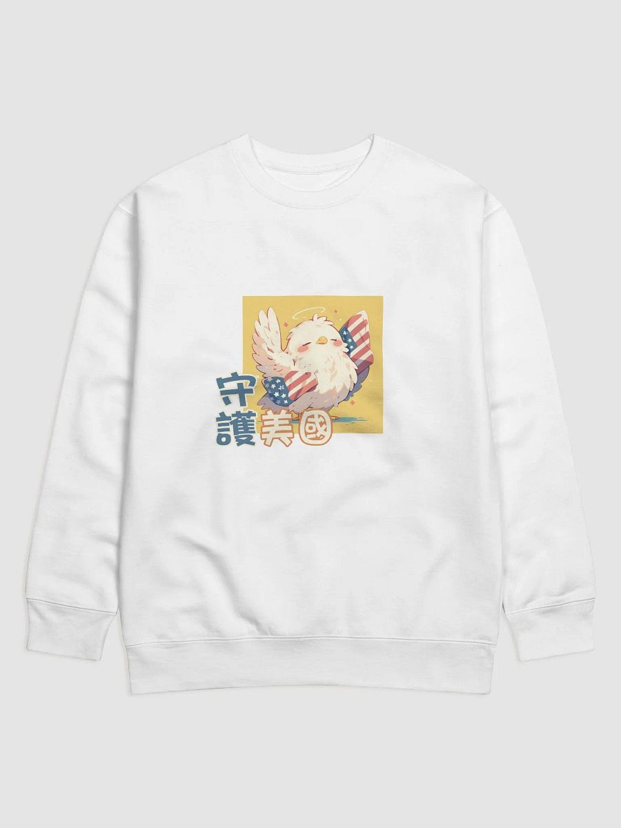 「守護美國」主題衛衣（二） product image (1)