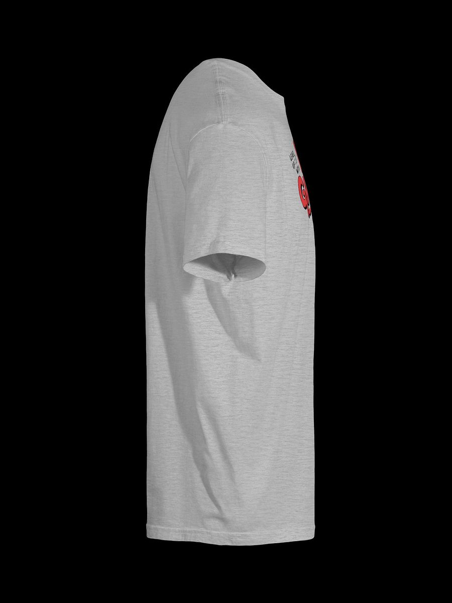 Level Up with BLT Gamers T-Shirt product image (20)